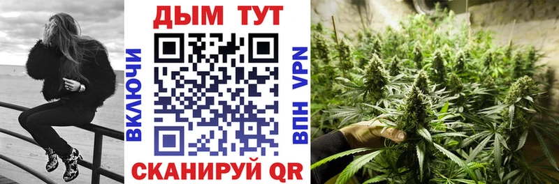 Бошки Шишки OG Kush  дарнет шоп  shop клад  Ельня 